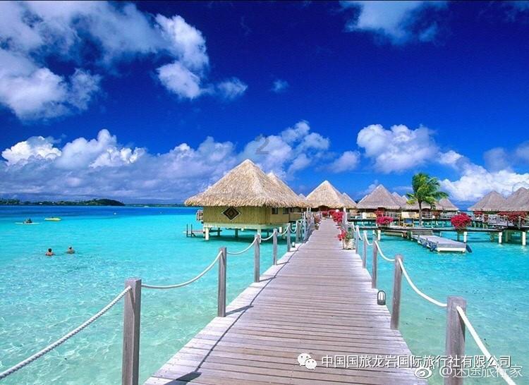 蜂王救援